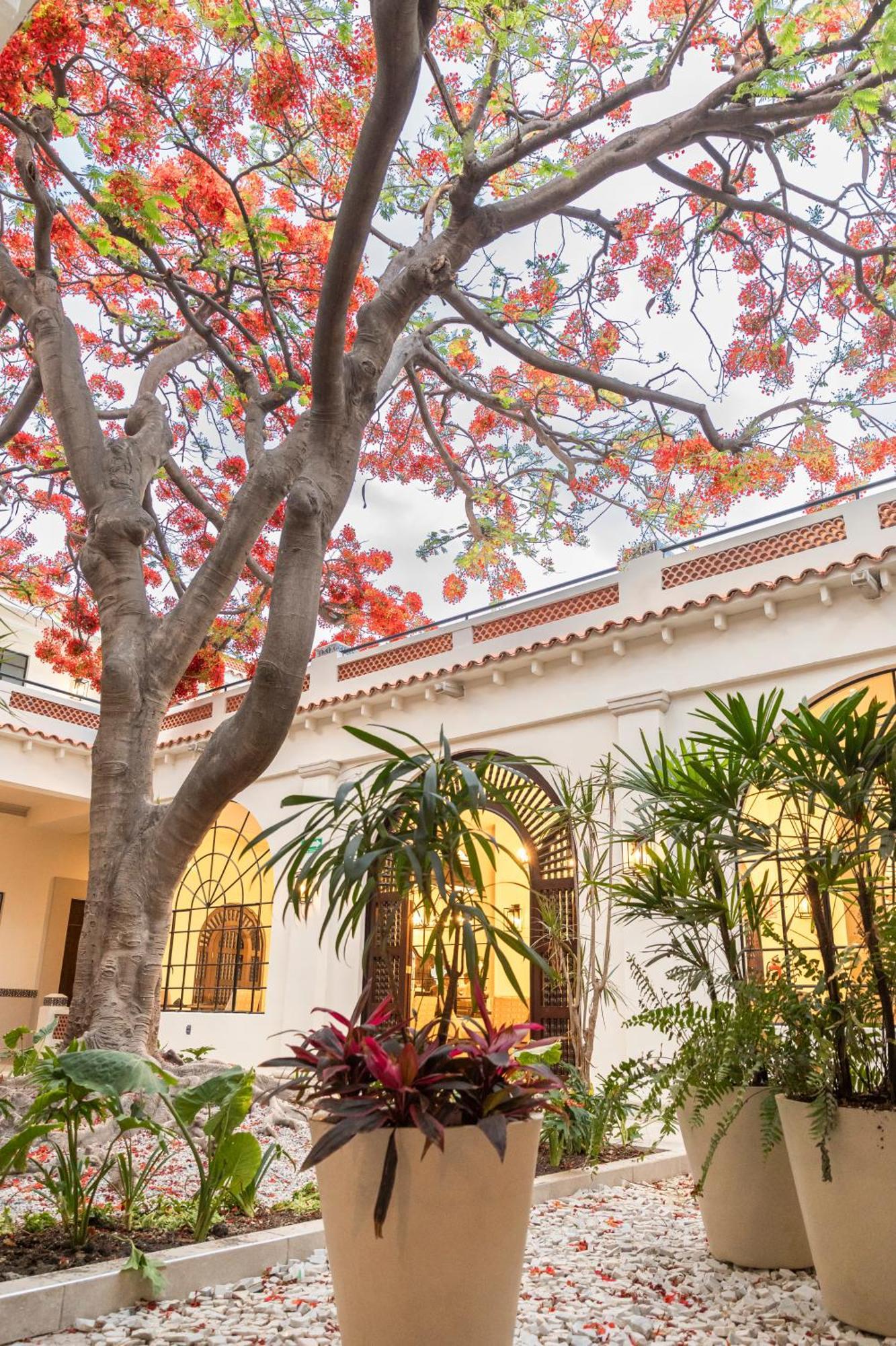 Hotel Gran Mexico By Solaris Tehuacán